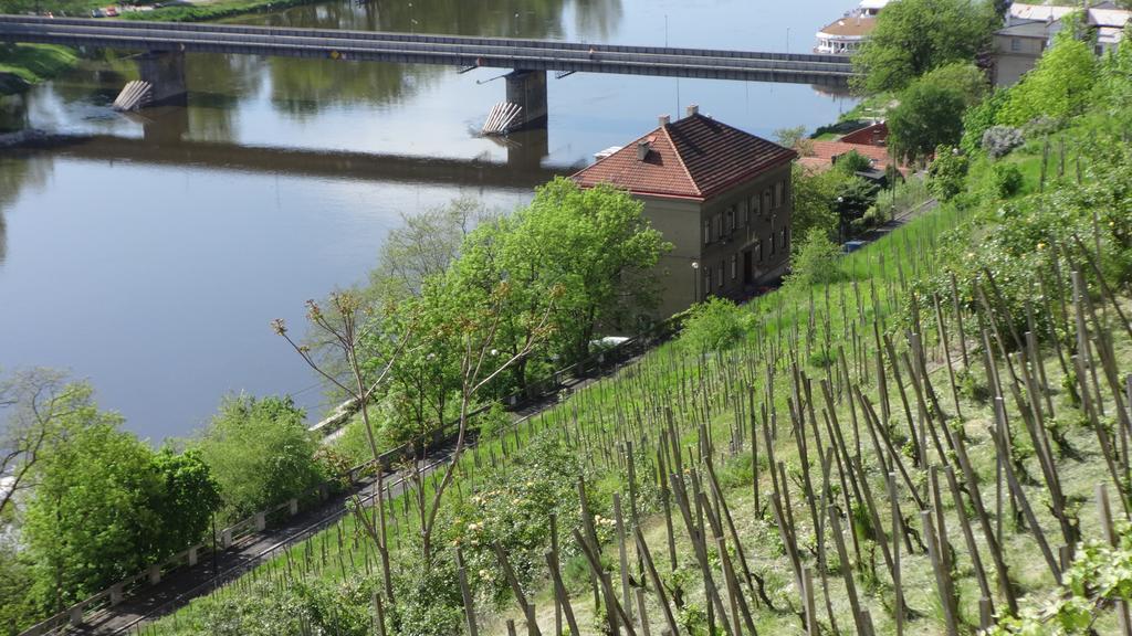 Dum V Podzamci Apartment Melnik Luaran gambar