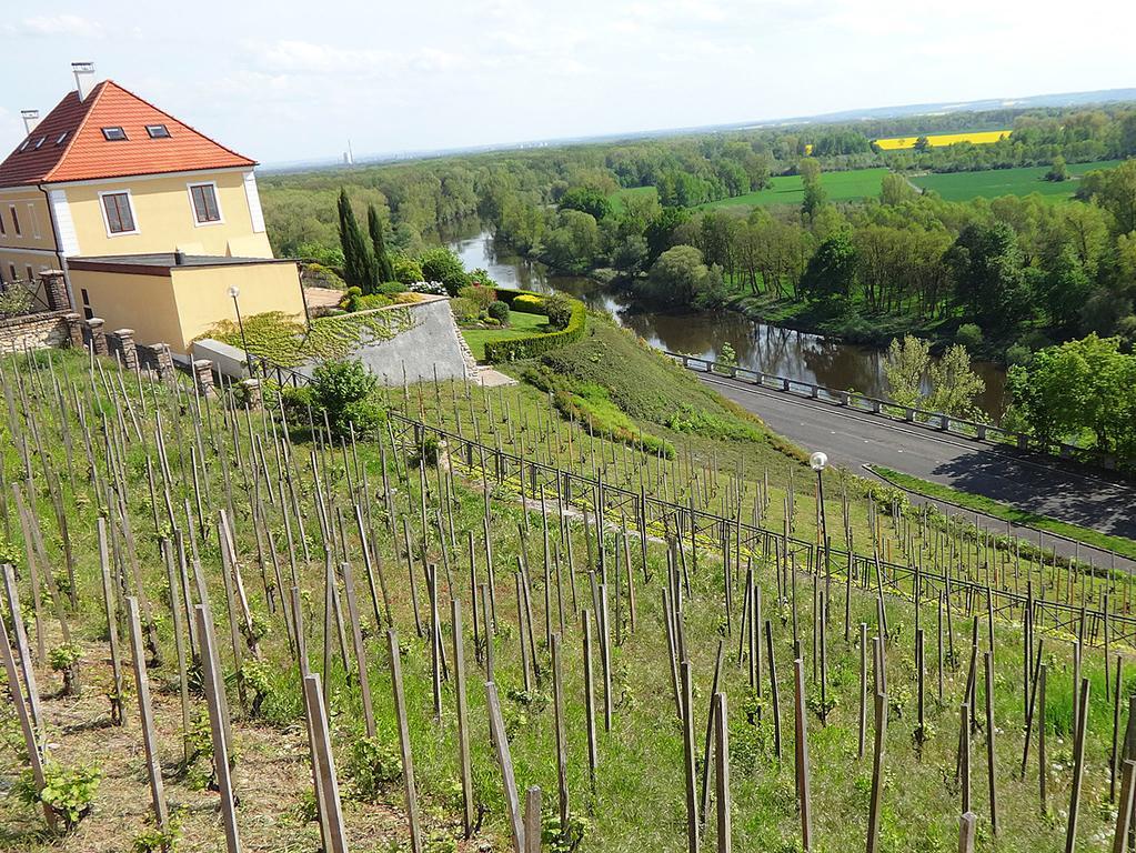 Dum V Podzamci Apartment Melnik Luaran gambar